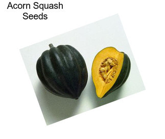 Acorn Squash Seeds