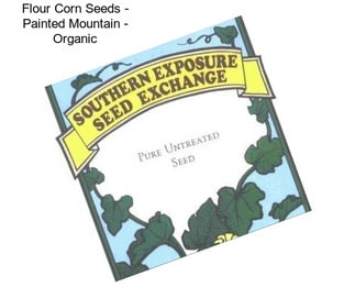 Flour Corn Seeds - Painted Mountain - Organic