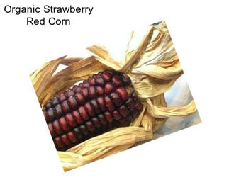 Organic Strawberry Red Corn