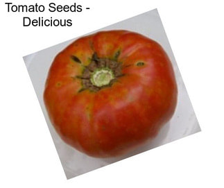 Tomato Seeds - Delicious