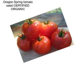 Oregon Spring tomato seed CERTIFIED ORGANIC