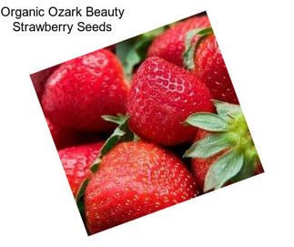 Organic Ozark Beauty Strawberry Seeds