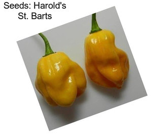 Seeds: Harold\'s St. Barts