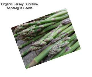 Organic Jersey Supreme Asparagus Seeds