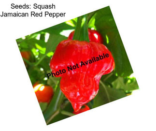 Seeds: Squash Jamaican Red Pepper