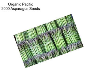 Organic Pacific 2000 Asparagus Seeds