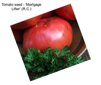 Tomato seed - \'Mortgage Lifter\' (R.C.)