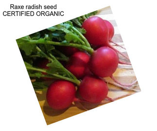 Raxe radish seed CERTIFIED ORGANIC