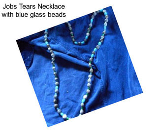 Jobs Tears Necklace with blue glass beads