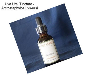 Uva Ursi Tincture - Arctostaphylos uvs-ursi