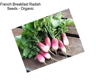 French Breakfast Radish Seeds - Organic