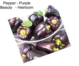 Pepper - Purple Beauty   - Heirloom