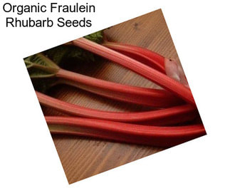 Organic Fraulein Rhubarb Seeds