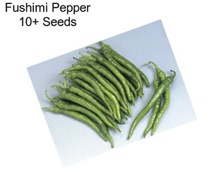 Fushimi Pepper 10+ Seeds