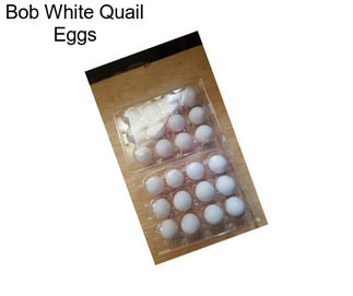 Bob White Quail Eggs