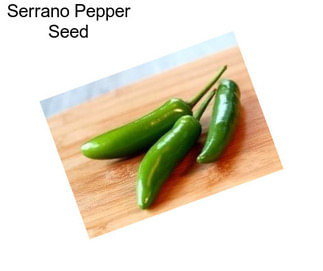 Serrano Pepper Seed