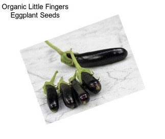Organic Little Fingers Eggplant Seeds