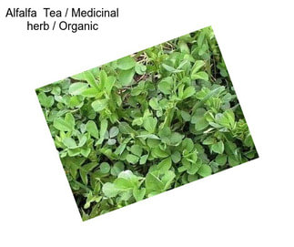 Alfalfa  Tea / Medicinal herb / Organic