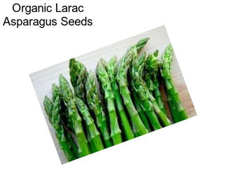 Organic Larac Asparagus Seeds