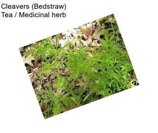 Cleavers (Bedstraw) Tea / Medicinal herb