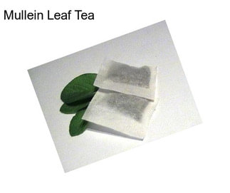 Mullein Leaf Tea