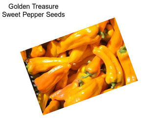 Golden Treasure Sweet Pepper Seeds