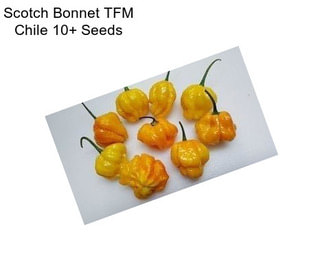 Scotch Bonnet TFM Chile 10+ Seeds