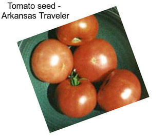 Tomato seed -  Arkansas Traveler