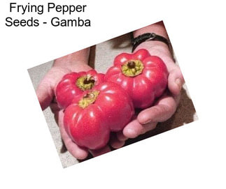 Frying Pepper Seeds - Gamba