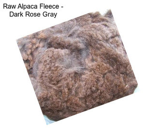 Raw Alpaca Fleece - Dark Rose Gray