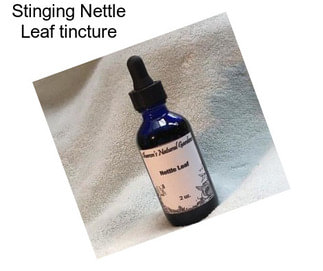 Stinging Nettle Leaf tincture