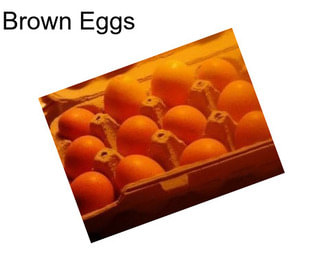 Brown Eggs