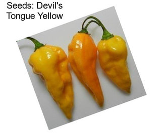 Seeds: Devil\'s Tongue Yellow