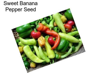 Sweet Banana Pepper Seed