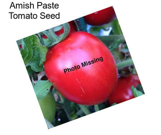 Amish Paste Tomato Seed