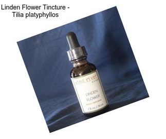 Linden Flower Tincture - Tilia platyphyllos