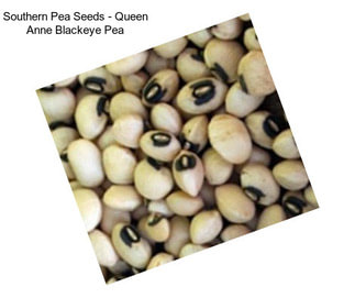 Southern Pea Seeds - Queen Anne Blackeye Pea