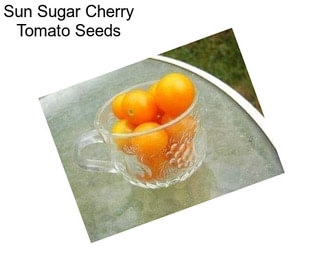 Sun Sugar Cherry Tomato Seeds