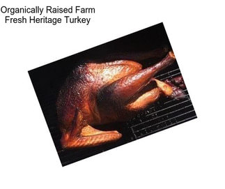 Organically Raised Farm Fresh Heritage Turkey