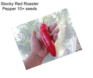 Stocky Red Roaster Pepper 10+ seeds