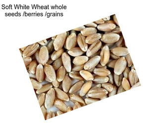 Soft White Wheat whole seeds /berries /grains