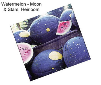 Watermelon - Moon & Stars  Heirloom