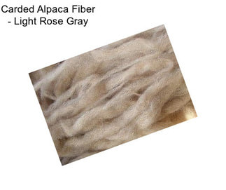 Carded Alpaca Fiber - Light Rose Gray