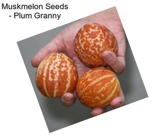 Muskmelon Seeds - Plum Granny