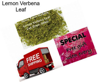 Lemon Verbena Leaf