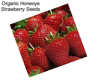 Organic Honeoye Strawberry Seeds
