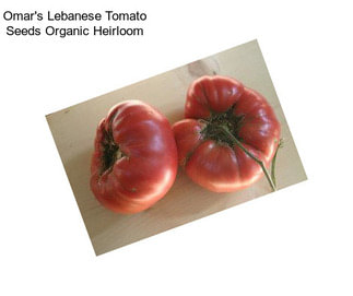Omar\'s Lebanese Tomato Seeds Organic Heirloom