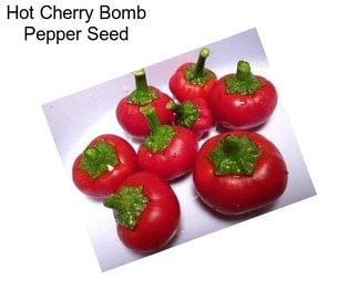 Hot Cherry Bomb Pepper Seed