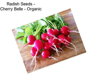 Radish Seeds - Cherry Belle - Organic