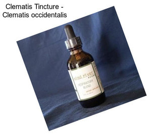 Clematis Tincture - Clematis occidentalis